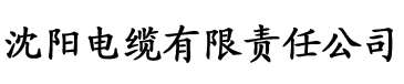 色欲天天天综合网免费电缆厂logo